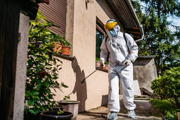 Best Mosquito Control Services  in Bayshe, OR