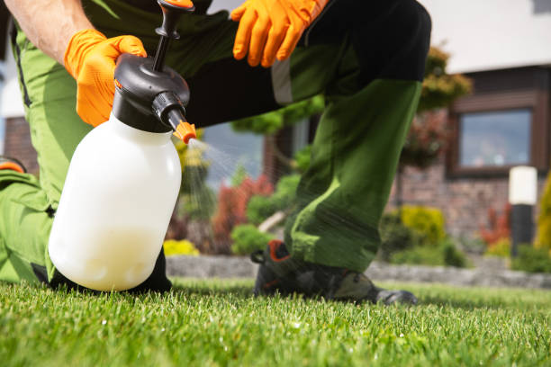 Best Flea Control Services  in Bayshe, OR
