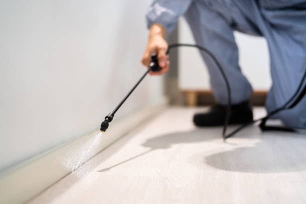 Pest Control Cost in Bayshore, OR