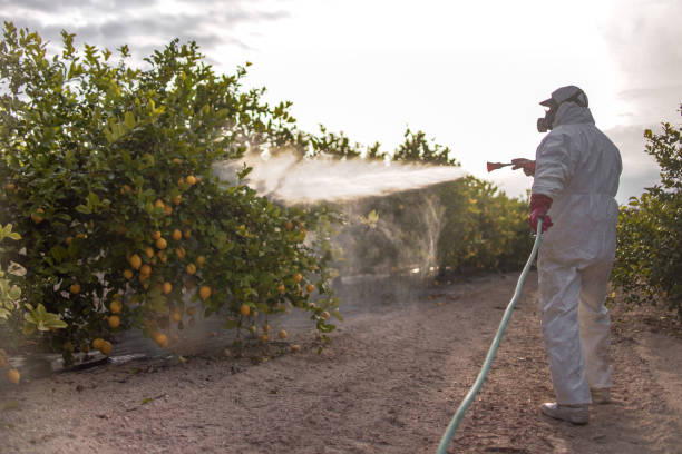 Best Spider Control Near Me  in Bayshe, OR
