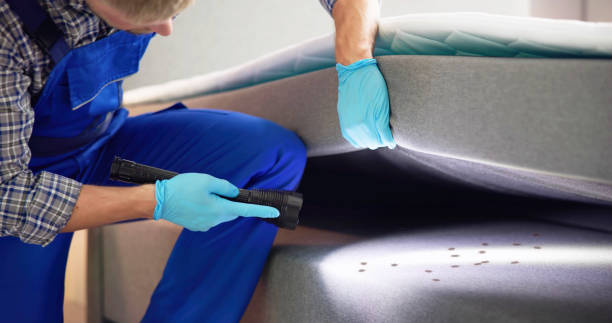 Best Best Pest Control Companies  in Bayshe, OR