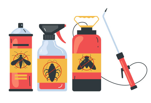 Wasp Removal Services in Bayshore, OR