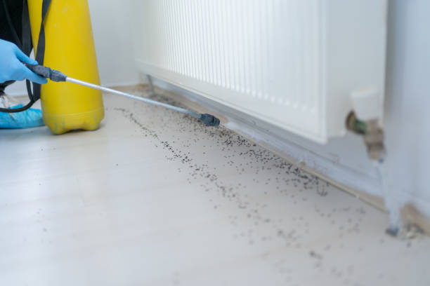 Best Bed Bug Extermination  in Bayshe, OR