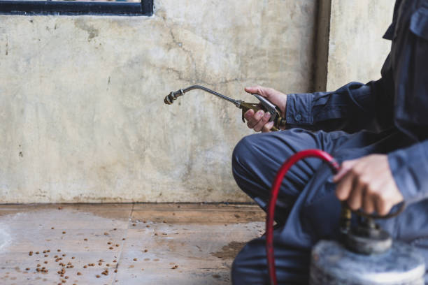 Best Affordable Pest Control Services  in Bayshe, OR